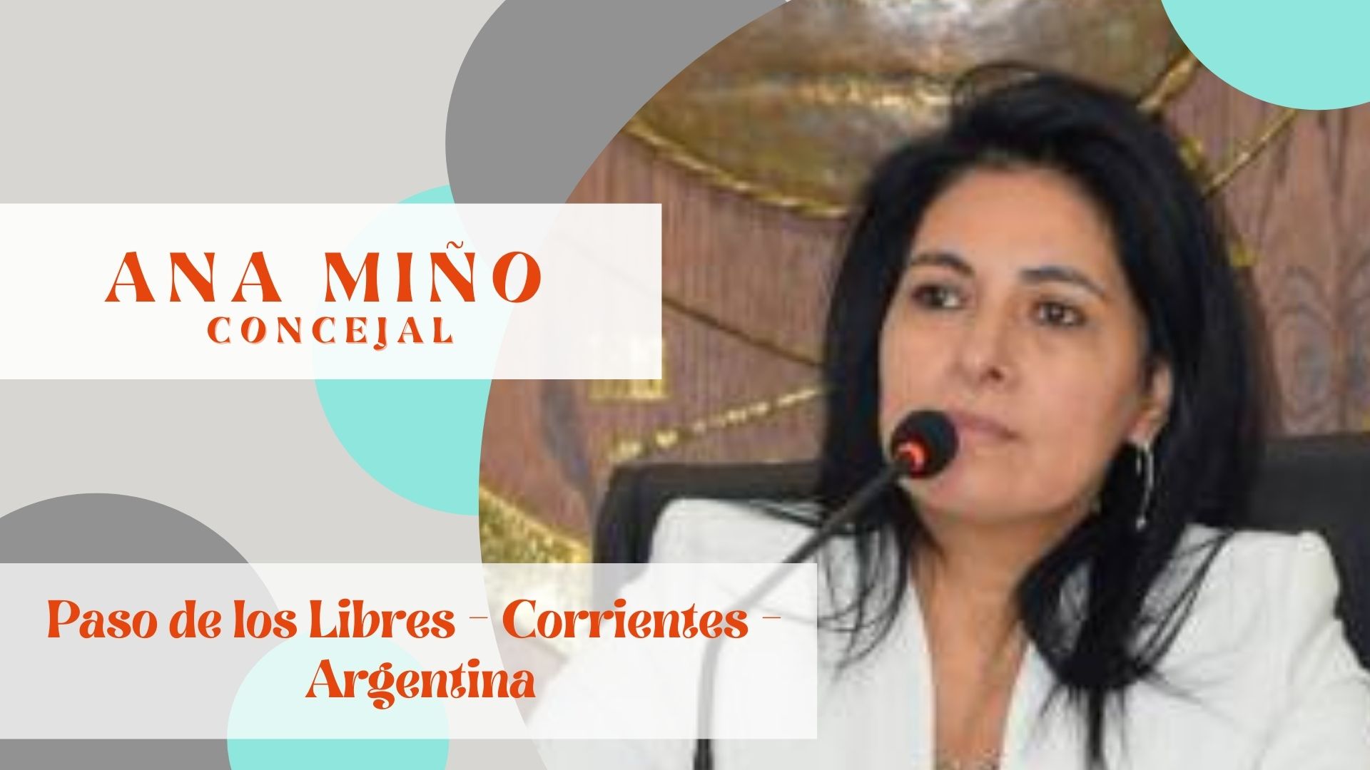 Ana miño